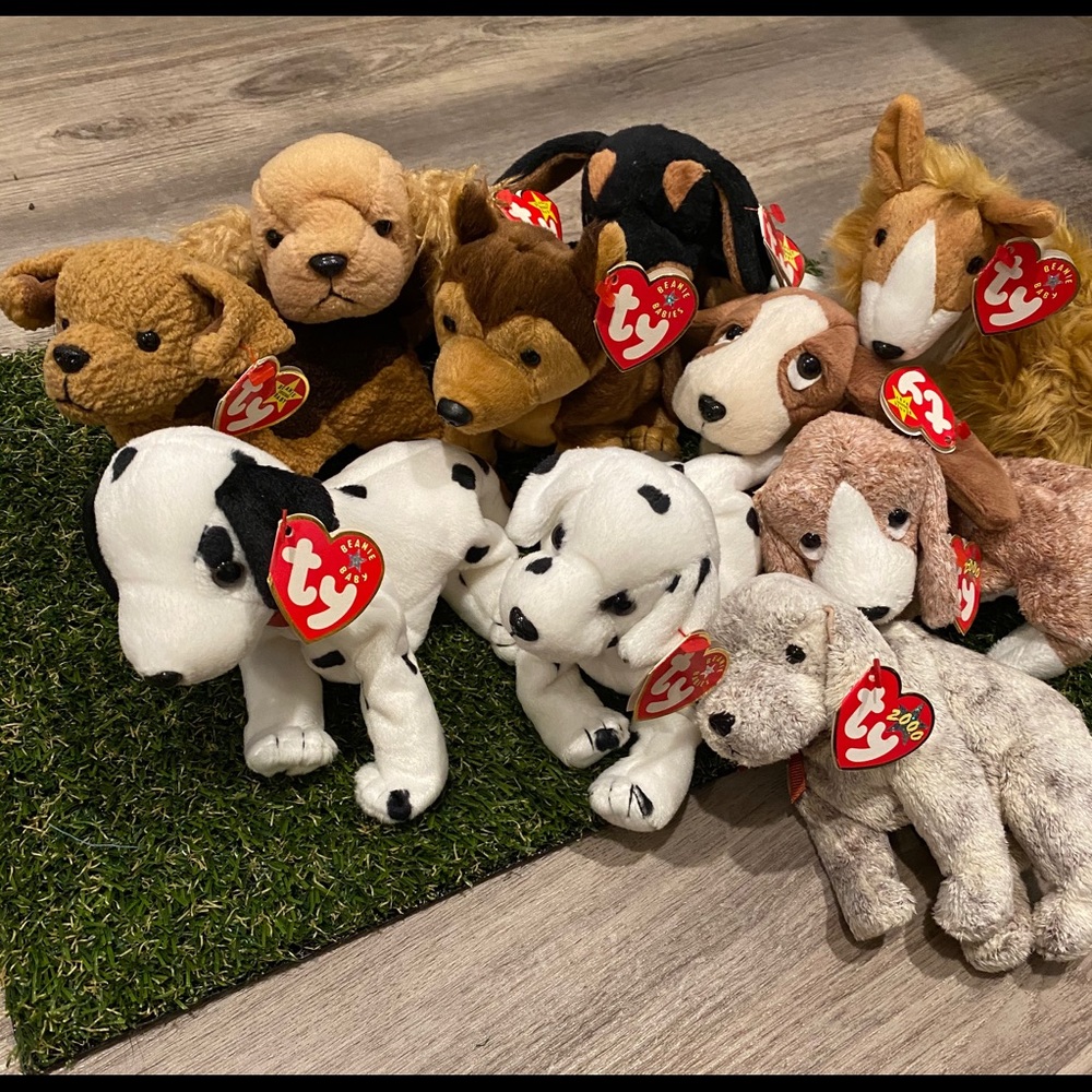 Ty Beanie Babies Collection of 10 Puppies